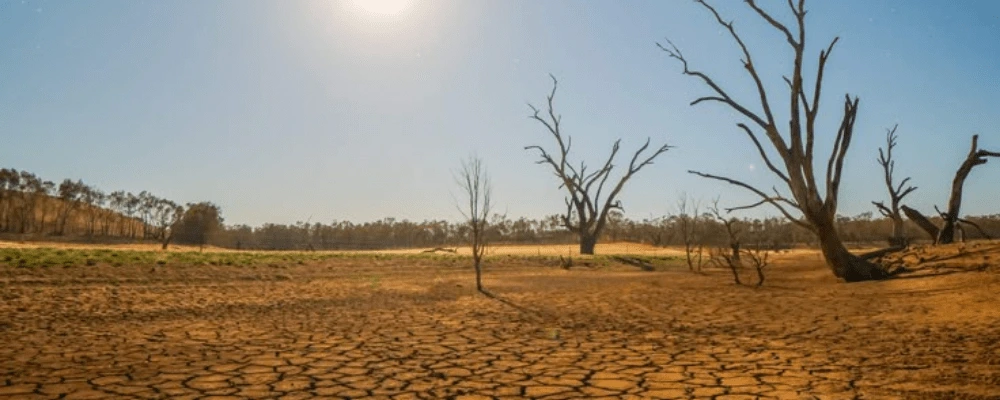 ग्लोबल वार्मिंग