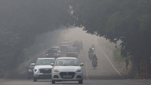 delhi
