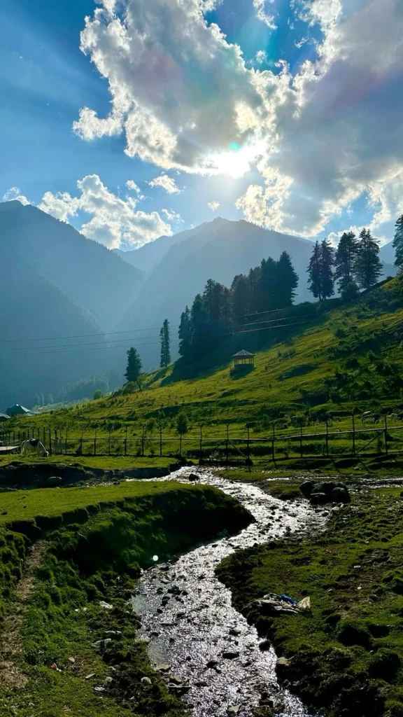 जम्मू मौसम
jammu & kashmir