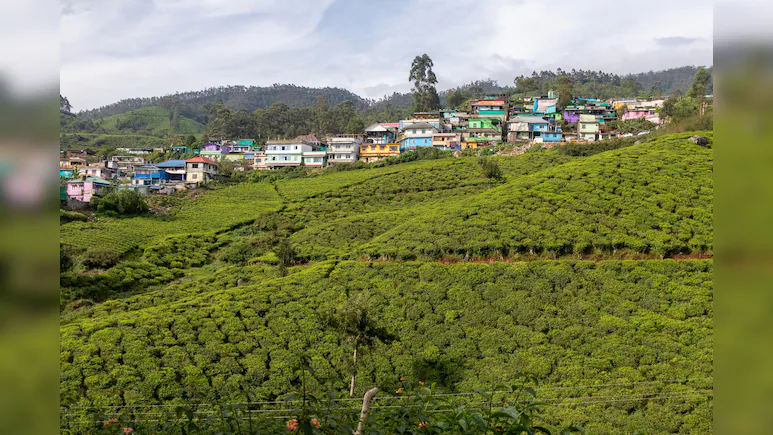 SOUTH INDIA
