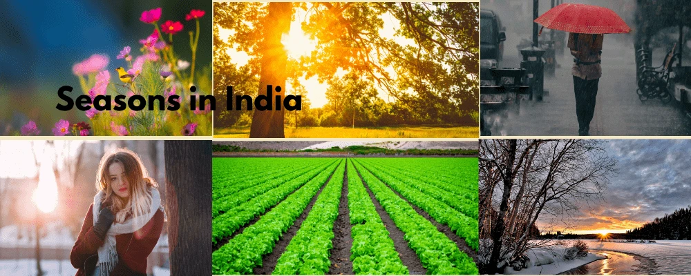 Seasons in India