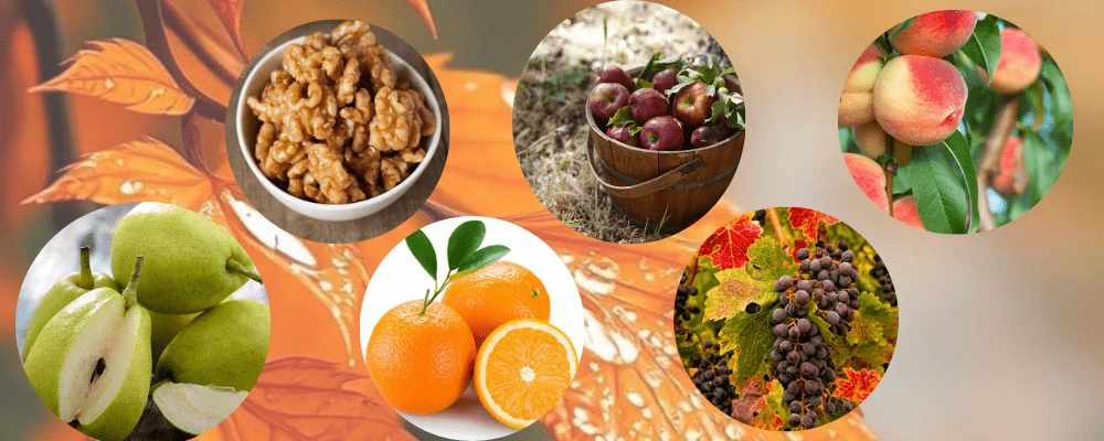 शरद ऋतु का मौसम, शरद ऋतु के फल