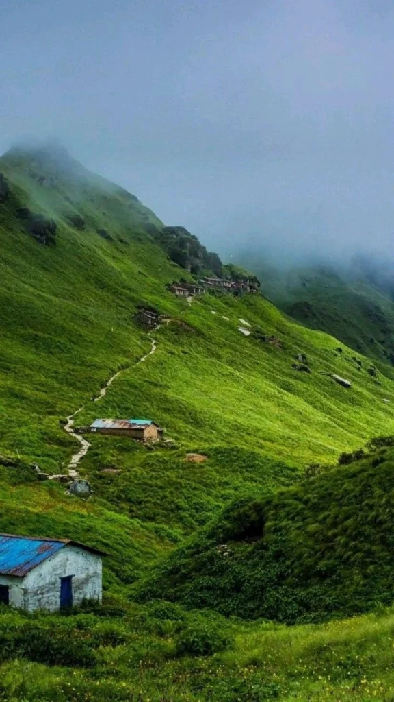 उत्तराखंड में मानसून : बारिश के मौसम में देवभूमि का बदला मिजाज, जानिए कहां कैसी स्थिति