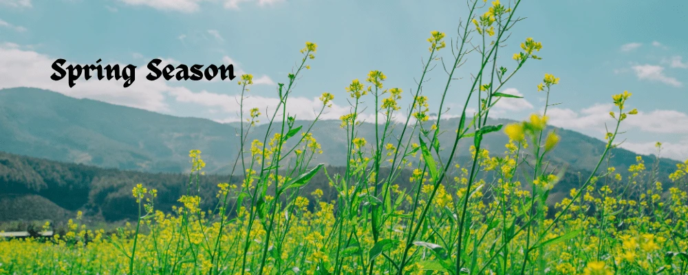 भारत में ऋतुएँ: Spring season
