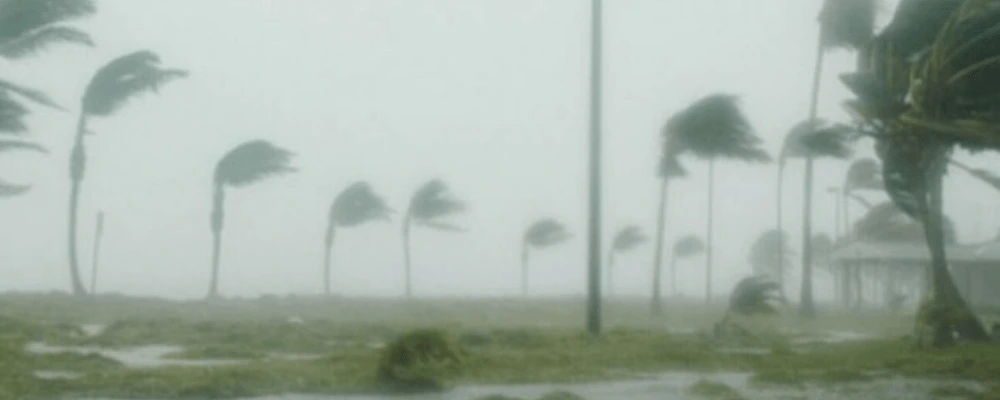 strong wind