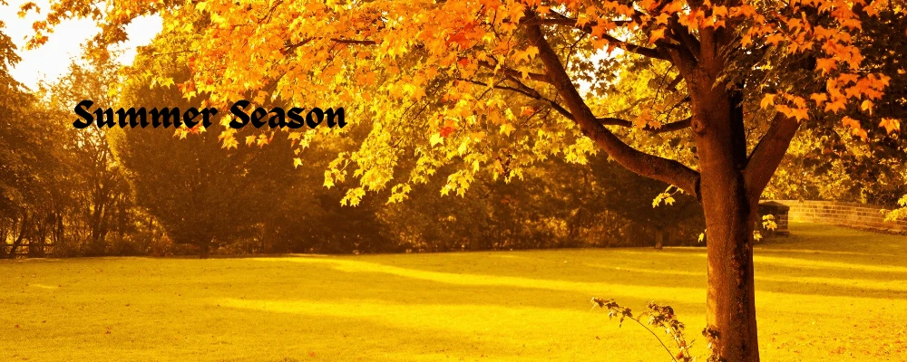भारत में ऋतुएँ: Summer season