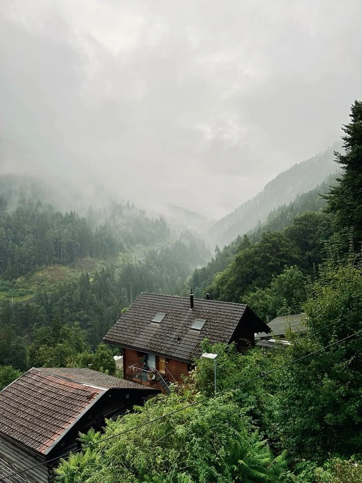uttarakhand rainfalls